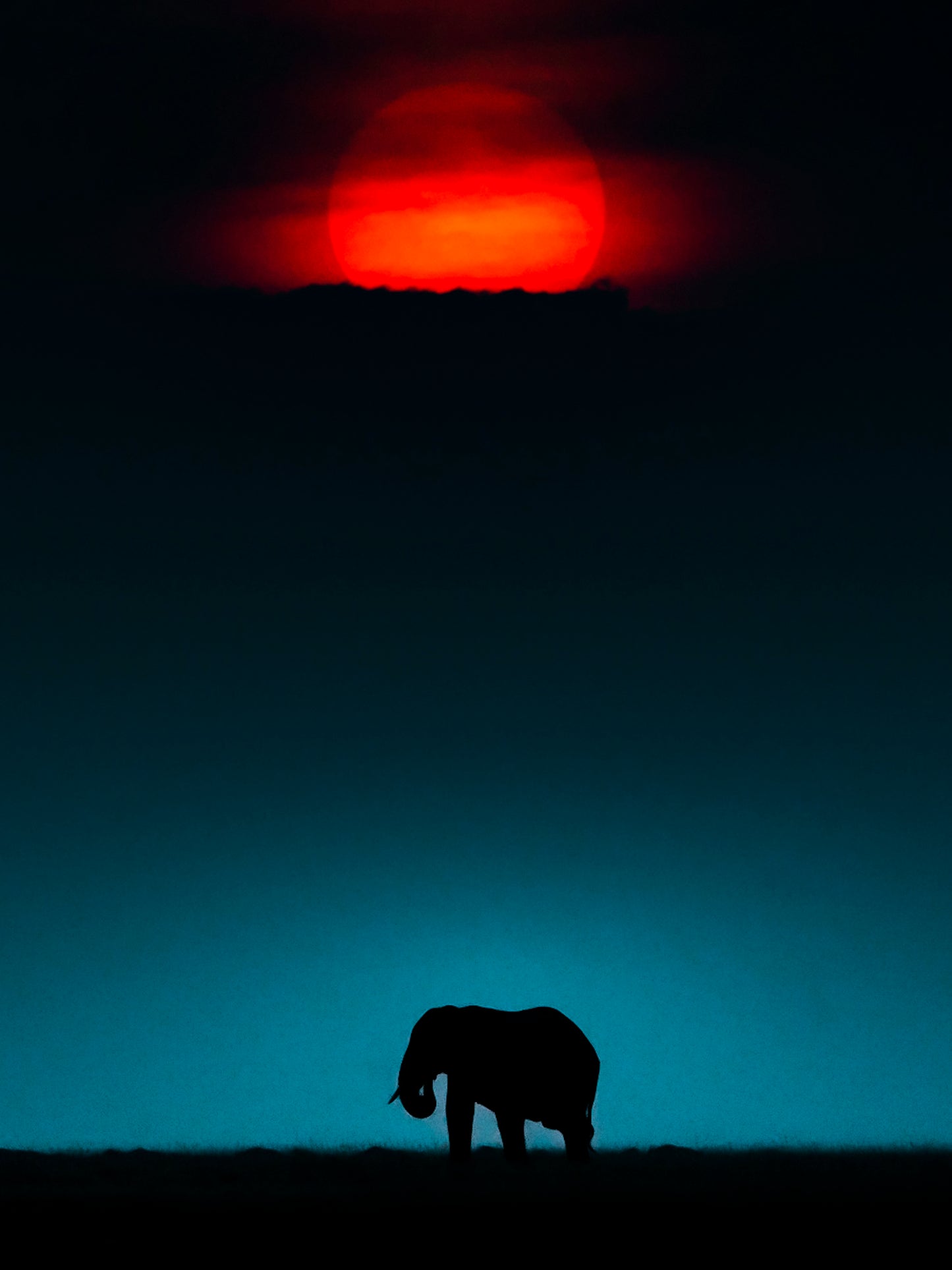 2 Giants 1 Frame