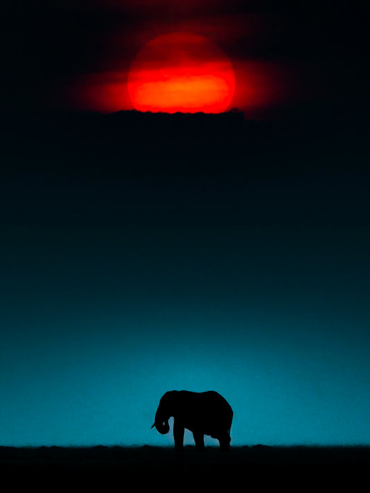 2 Giants 1 Frame